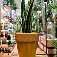 IMG_6789-EDIT