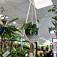 IMG_6857
