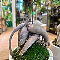 IMG_6966