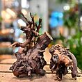 natural grape wood vine