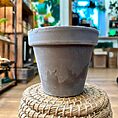 IMG_7369-EDIT