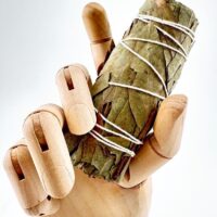 Wooden mannequin hand holding dried eucalyptus and sage leaves bundle with string on white background.