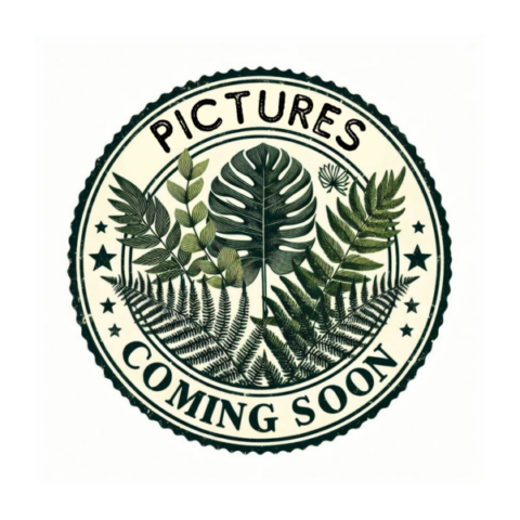 picture placeholder for new pictures of the products coming soon