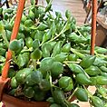 IMG_0130