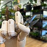 Mini Pruners Plants Scissors