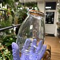 IMG_7675