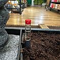 IMG_7768