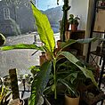 IMG_8314