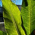 IMG_8322