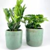 Rustic Green Glazed Rustic Planter