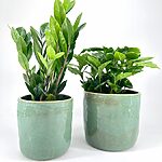 Rustic Green Glazed Rustic Planter