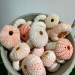 Sea Urchin Shells x 3