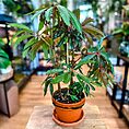 IMG_9864-EDIT