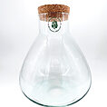 Elegant glass vessel with cork stopper for terrariums and botanical displays.