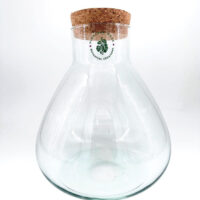 Elegant glass vessel with cork stopper for terrariums and botanical displays.