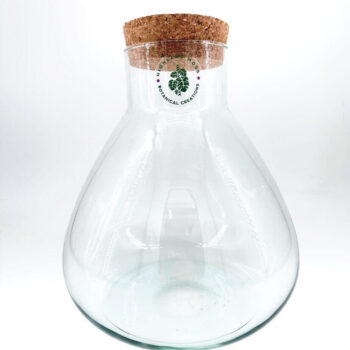 Elegant glass vessel with cork stopper for terrariums and botanical displays.