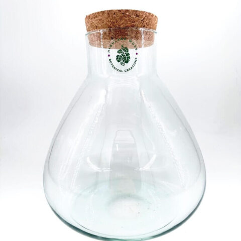 Elegant glass vessel with cork stopper for terrariums and botanical displays.