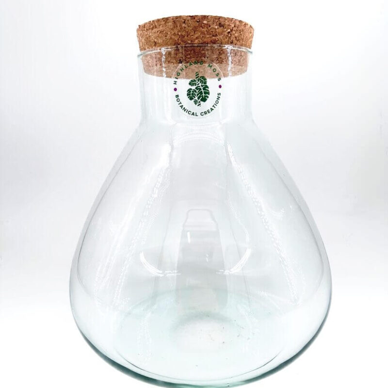 Elegant glass vessel with cork stopper for terrariums and botanical displays.
