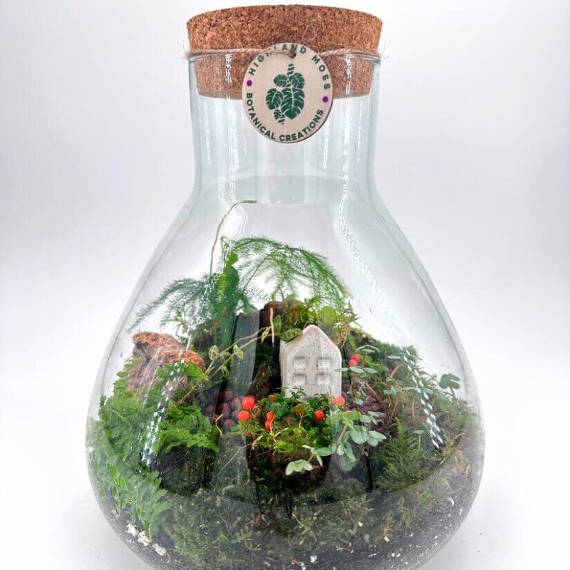 Enchanting Terrarium with Miniature Cottage and Moss Charming glass terrarium with cork stopper, featuring lush moss, plants, and a miniature cottage.