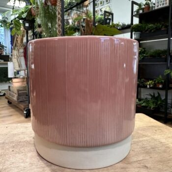 Rose Glazed Ceramic Pot 15cm Planters ceramic
