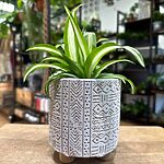 Concrete Zig Zag Design Planter Legs For 9cm pot