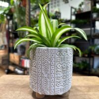 Concrete Zig Zag Design Planter Legs For 9cm pot