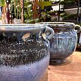 IMG_0848