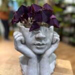 Head Concrete Lady Planter For 11.5cm pots