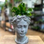 Head Concrete Lady Planter 10cm