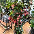 IMG_1341