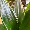 IMG_1759