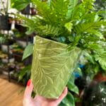 Green Fern Leaves Design Glazed Planter