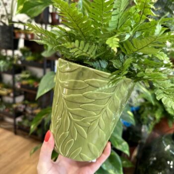 Green Fern Leaves Design Glazed Planter Plant Accessories