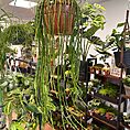 IMG_1886