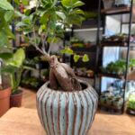 Seafoam Green Retro Glazed Planter