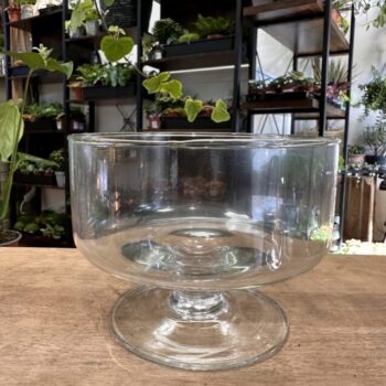 Glass Bowl Terrarium Succulent Garden Glassware Glass Containers