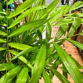 IMG_2280-EDIT