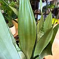 IMG_2883
