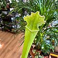 IMG_3540