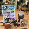 Lively arrangement of colourful succulents in terracotta pots, showcasing diverse shapes and textures.
