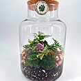 Vibrant mini glass terrarium with lush plants, moss, and decorative stones.