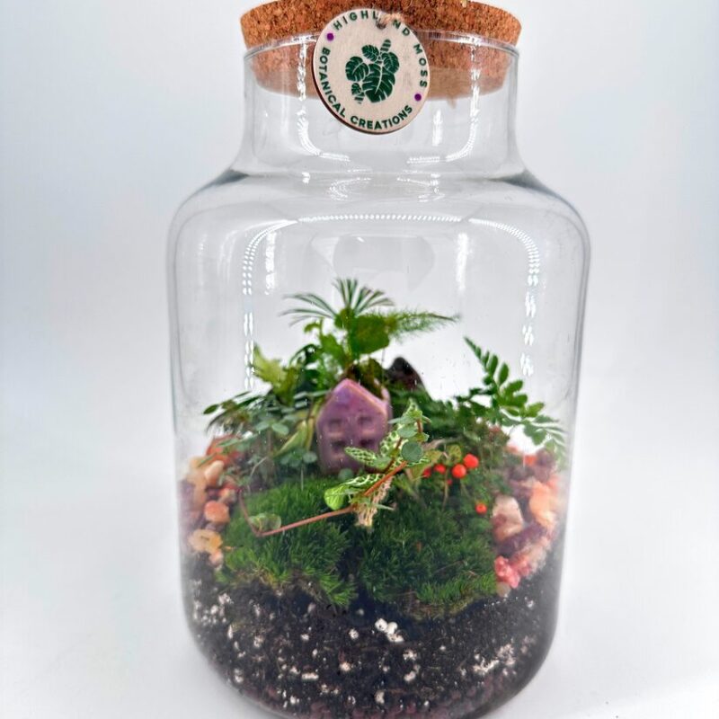 Lush Mini Terrarium with Moss and Whimsical Decor Vibrant mini glass terrarium with lush plants, moss, and decorative stones.
