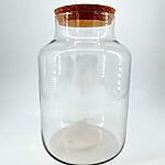 Classic Terrarium Glass Container with Cork Lid