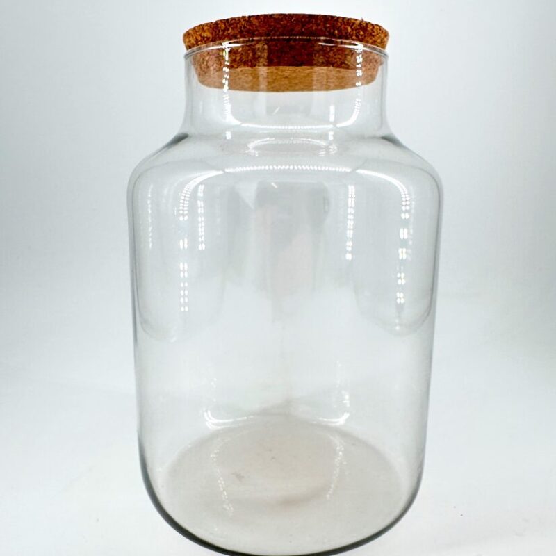 Elegant glass jar with cork lid, perfect for storage or decorative purposes in any home.