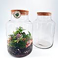 Vibrant glass terrarium with plants, amethyst crystal, and colourful stones in a nature-inspired design.