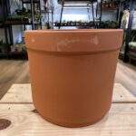Rustic Terracotta Planter Scalloped Lip 12cm pot