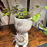 Stay Calm Grey Concrete Planter 6cm