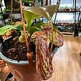 img_3336