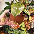 img_3338