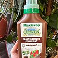 500ml bottle of Organic Seaweed Plant Food Growth Stimulator by Maxicrop, a natural fertilizer promoting healthy plant growth.
